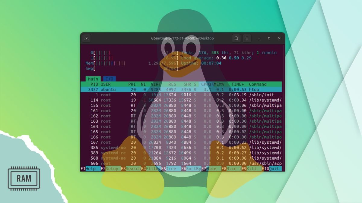 Check Memory Usage in Linux